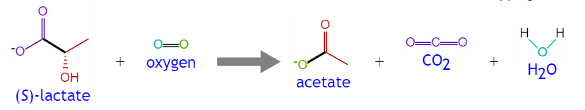 Enzyme Activity Measurement of Lactate 2-Monooxygenase